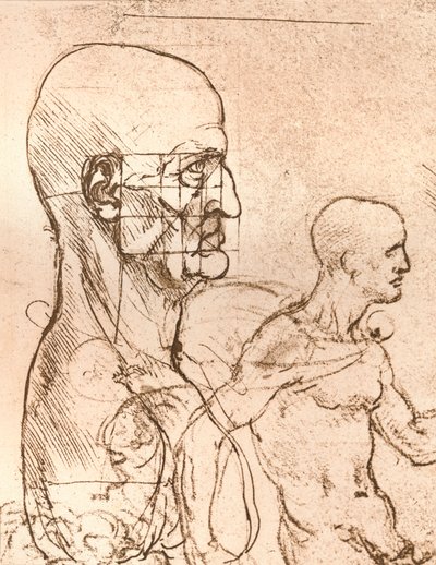 Az emberi alak arányainak elméletét illusztráló rajz, c1472-c1519 1883 alkotó: Leonardo da Vinci
