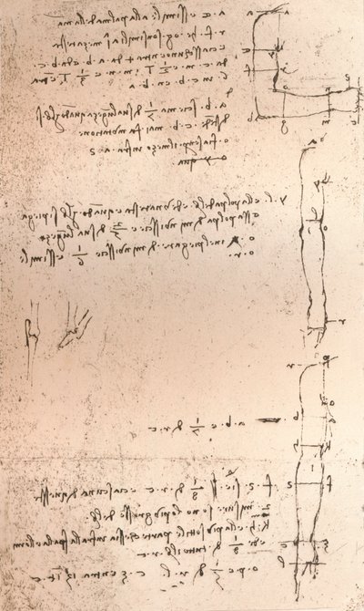 Az emberi alak arányainak elméletét illusztráló rajz, c1472-c1519 1883 alkotó: Leonardo da Vinci