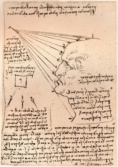 Férfifej rajza, a festészet gyakorlatát illusztrálva, c1472-c1519 1883 alkotó: Leonardo da Vinci