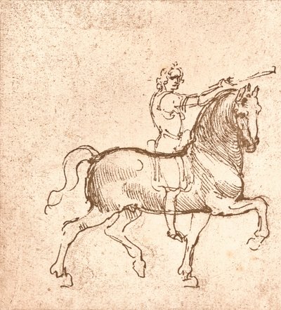 Sétáló ló rajza, c1472-c1519 1883 alkotó: Leonardo da Vinci