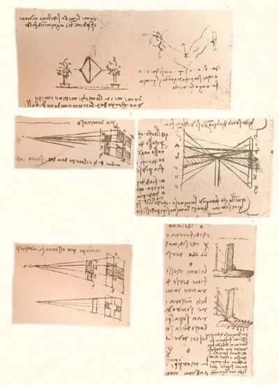 Öt rajz a festészet elméletét illusztrálva, c1472-c1519 1883 alkotó: Leonardo da Vinci
