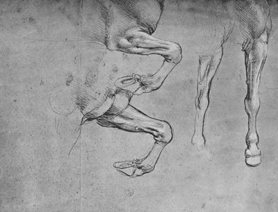 Négy tanulmány a lovak lábáról, c1480, 1945 alkotó: Leonardo da Vinci