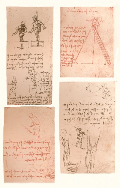 Négy rajz, amely az emberi alak mozgásának elméletét illusztrálja, c1472-c1519 1883 alkotó: Leonardo da Vinci