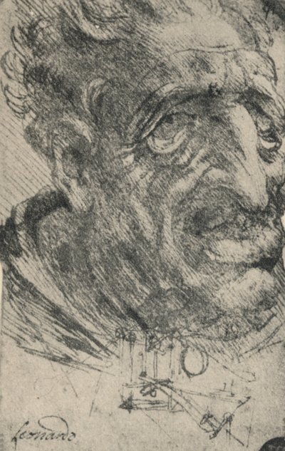 Egy háromnegyedet jobbra fordult férfi groteszk feje, c1480 1945 alkotó: Leonardo da Vinci