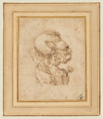 Egy idős asszony groteszk feje alkotó: Leonardo da Vinci