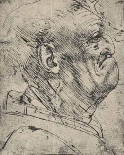 Egy jobb oldali férfi groteszk profilja, c1480 1945 alkotó: Leonardo da Vinci