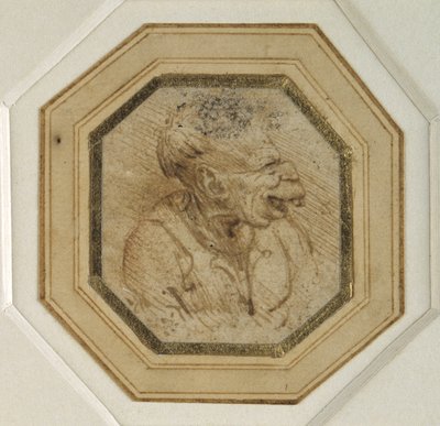 Groteszk fej (toll és tinta papíron) alkotó: Leonardo da Vinci