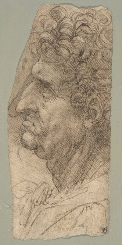 Balra néző férfi profilja alkotó: Leonardo da Vinci