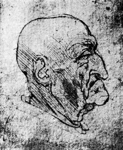 Egy öregember feje, 1913 alkotó: Leonardo da Vinci