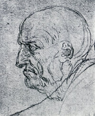 Egy öregember feje, 1913 alkotó: Leonardo da Vinci
