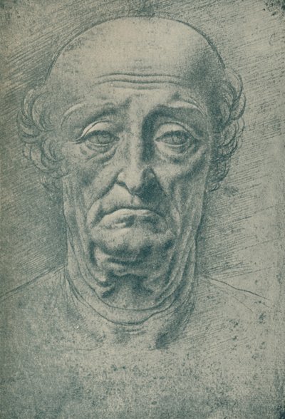 Egy öreg feje, XV. század, 1932 alkotó: Leonardo da Vinci