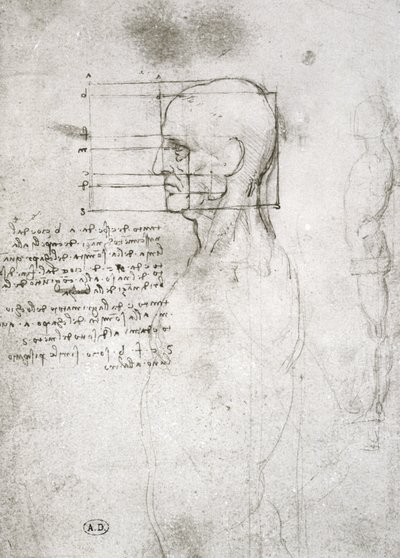 Profilos öregember feje, faxmásolat (toll és tinta papíron) alkotó: Leonardo da Vinci