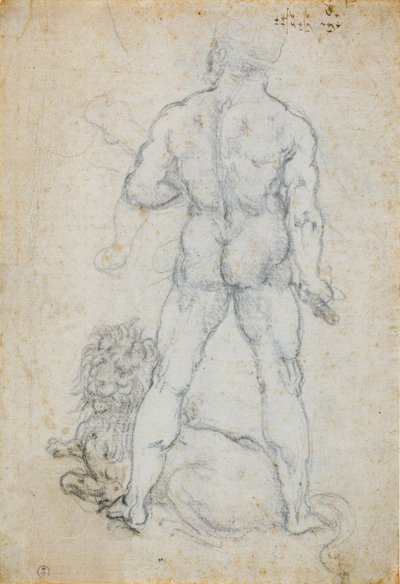 Herkules és a nemeuszi oroszlán, 1506-08 körül (szén és fémhegy fehér papírra) alkotó: Leonardo da Vinci