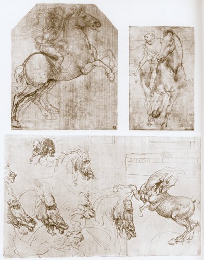 Lovas, 1480-1481. alkotó: Leonardo da Vinci