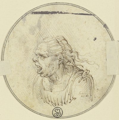Karikatúra egy nyitott szájú nőről, mellkép, balra néző profilból alkotó: Leonardo da Vinci