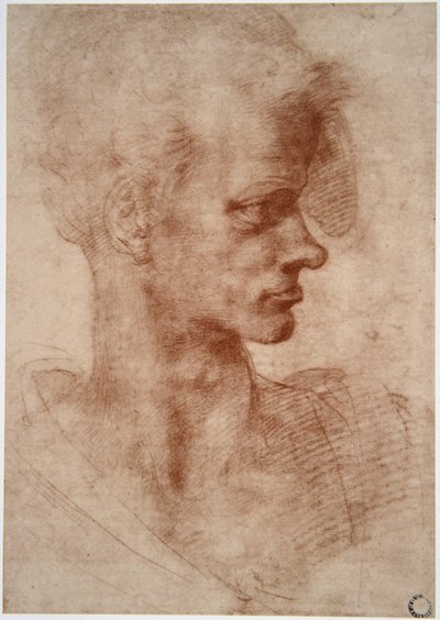Leonardo da Vinci (Leonardo da Vinci) (1452 - 1519): Egy fiatal férfi karikatúra portréja (Imagine) alkotó: Leonardo da Vinci