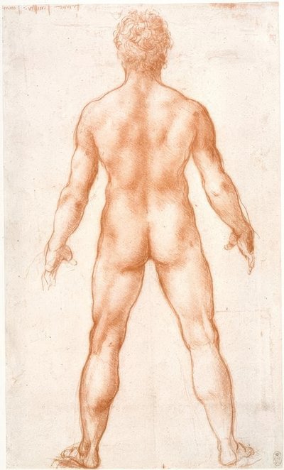 Férfi akt hátulról alkotó: Leonardo da Vinci