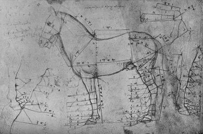 Egy ló mért rajza profilban balra, c1480 1945 alkotó: Leonardo da Vinci