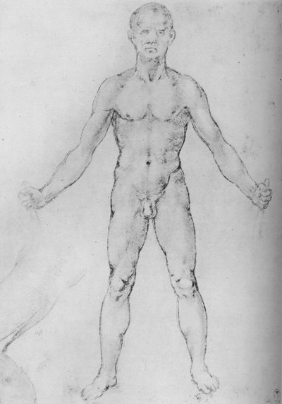 Meztelen férfi, kinyújtott karral, elölről nézve, c1480 1945 alkotó: Leonardo da Vinci