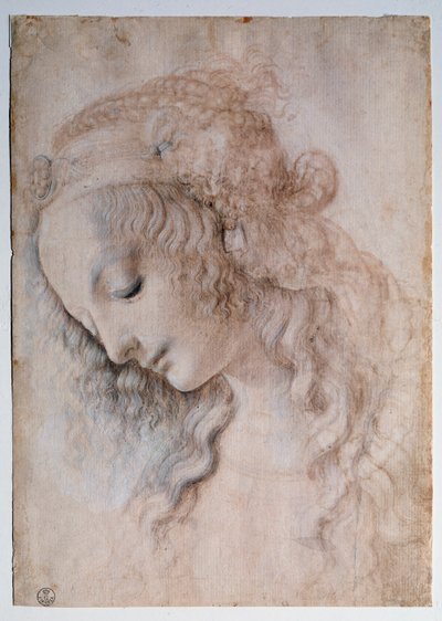 Lány portréja - rajz alkotó: Leonardo da Vinci