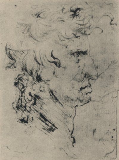 Egy férfi profilja jobbra, c1480 1945 alkotó: Leonardo da Vinci