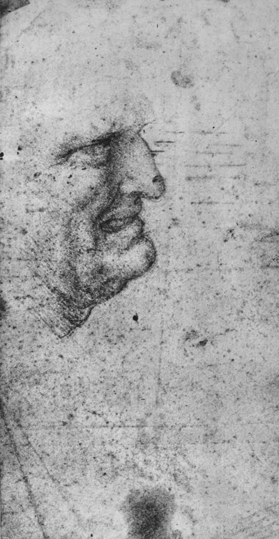 Összeszorított fogú férfi profilja, c1480 1945 alkotó: Leonardo da Vinci