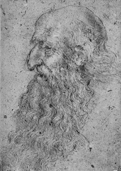 Egy öreg, szakállas férfi profilja balra, c1480 1945 alkotó: Leonardo da Vinci
