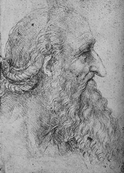 Egy öreg, szakállas férfi profilja jobbra, c1480 1945 alkotó: Leonardo da Vinci