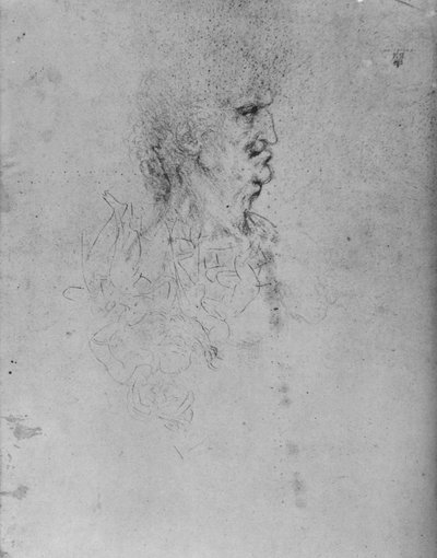 Profil egy öreg embertől jobbra, c1480 1945 alkotó: Leonardo da Vinci