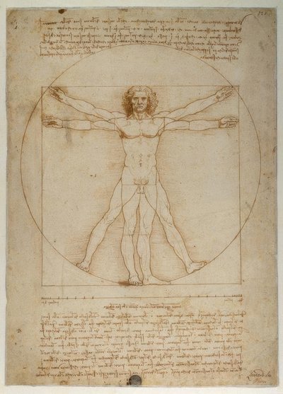 Az emberi alak aránysémája Vitruvius szerint alkotó: Leonardo da Vinci
