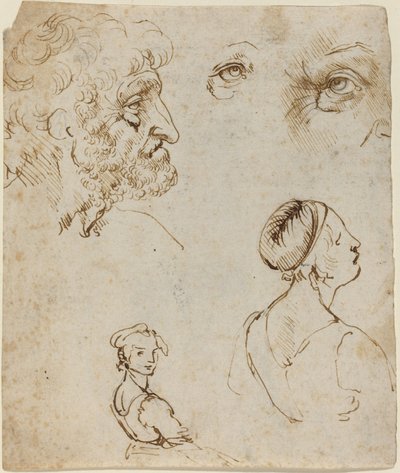 Tanulmányi lap [recto] alkotó: Leonardo da Vinci