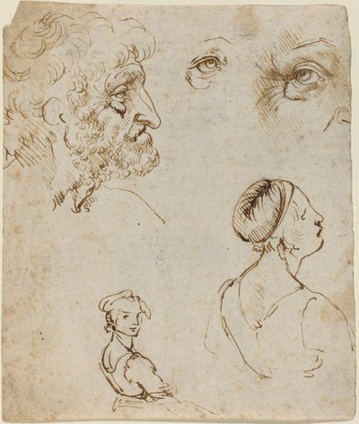Tanulmányok lapja [recto] alkotó: Leonardo da Vinci