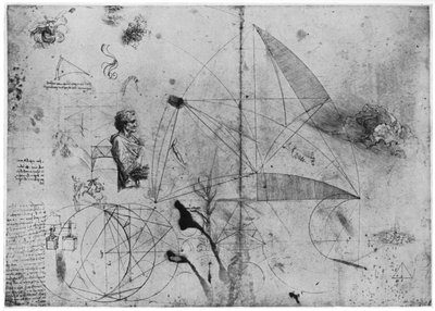 Tanulmányi lap, 15. század vége vagy 16. század eleje 1954. alkotó: Leonardo da Vinci