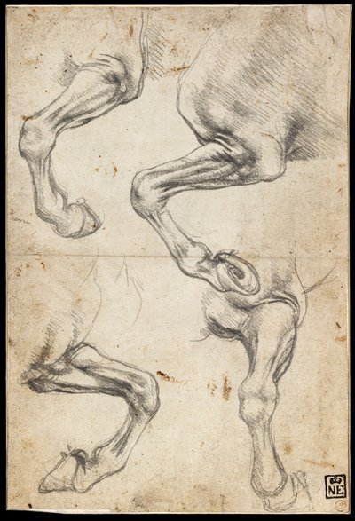 Tanulmányok a ló lábáról alkotó: Leonardo da Vinci