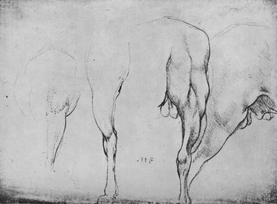 Studies of Horses Legs, c1480, 1945 alkotó: Leonardo da Vinci