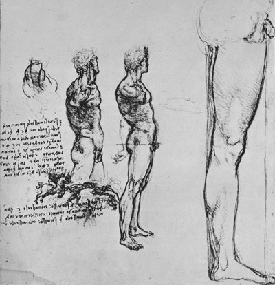Akttanulmányok és egy csata kisebb vázlata, c1480 1945 alkotó: Leonardo da Vinci