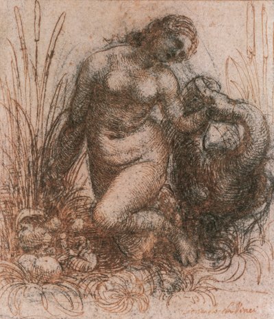 Leonardo da Vinci (1452-1519) tanulmánya Lédához és a hattyúhoz, rajz alkotó: Leonardo da Vinci