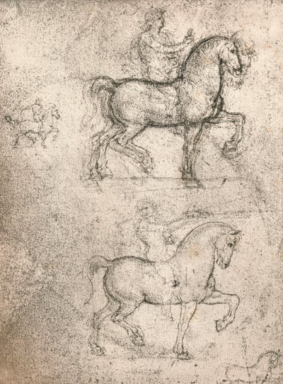 Tanulmány a Sforza-emlékműhöz, c1482-c1499 1883 alkotó: Leonardo da Vinci