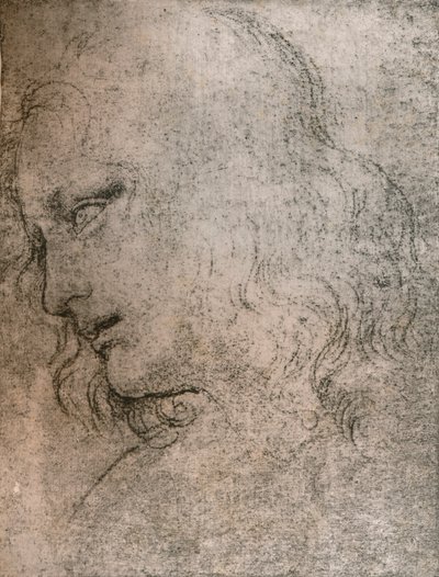 Tanulmány Szent Fülöp fejének az "Utolsó vacsora" c. 1494-c1499 1883-ban. alkotó: Leonardo da Vinci