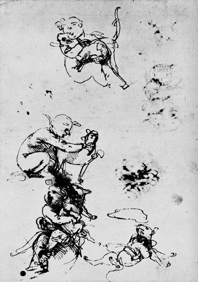 Tanulmány egy gyerekről macskával, 1478-1481, 1945 alkotó: Leonardo da Vinci