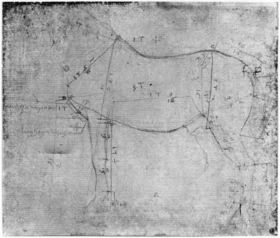 Lótanulmány (fémpont papíron) alkotó: Leonardo da Vinci