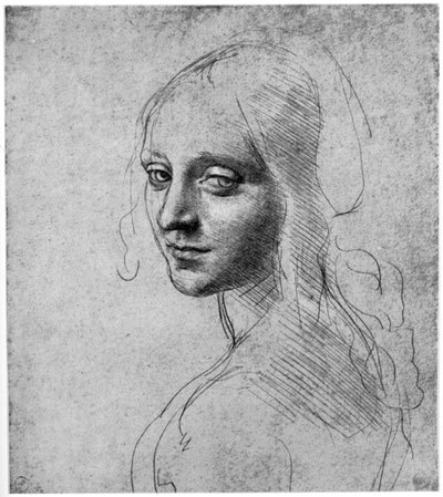 Tanulmány egy lányfejről, c1483 1954 alkotó: Leonardo da Vinci