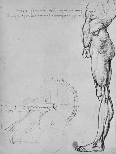 Tanulmány az ember alsó feléről és a gépekről, c1480, 1945 alkotó: Leonardo da Vinci