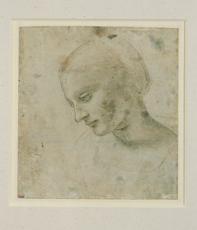 Női fej majdnem profilban ... alkotó: Leonardo da Vinci