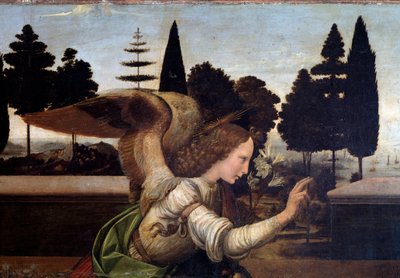 Angyali üdvözlet, az Angyal részlete - olaj, fa alkotó: Leonardo da Vinci