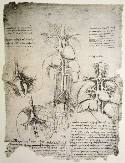 A szív és a keringés, a Windsor-könyv fakszimile változata (toll és tinta, papír) alkotó: Leonardo da Vinci