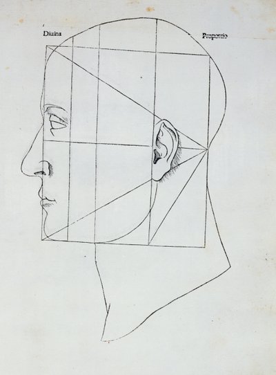 Az emberi fej, Luca Pacioli (1445-1517) „Divina Proportione” című művének illusztrációja, 1509 alkotó: Leonardo da Vinci