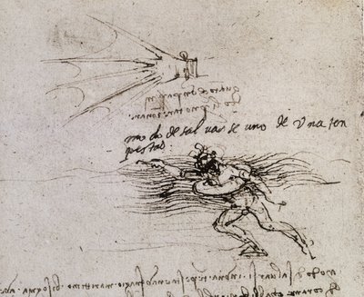 A pálma és a bója, Codex Atlantic alkotó: Leonardo da Vinci