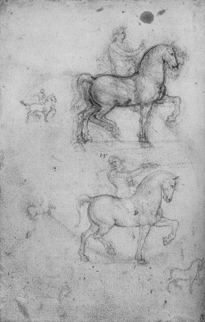 Két tanulmány a lovakról és a lovasokról, valamint a kisebb tanulmányok a lovakról, c1480 1945 alkotó: Leonardo da Vinci