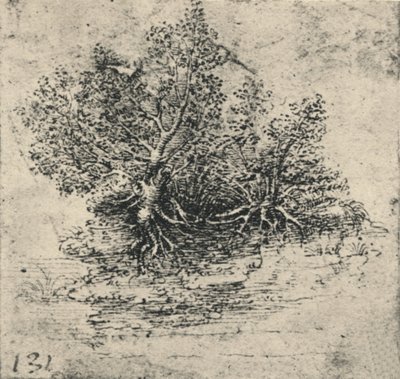 Két fa a patak partján, c1480 1945 alkotó: Leonardo da Vinci